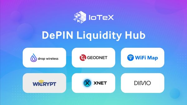 DePIN Liquidity Hub - Join the Fastest Growing Sector in Crypto